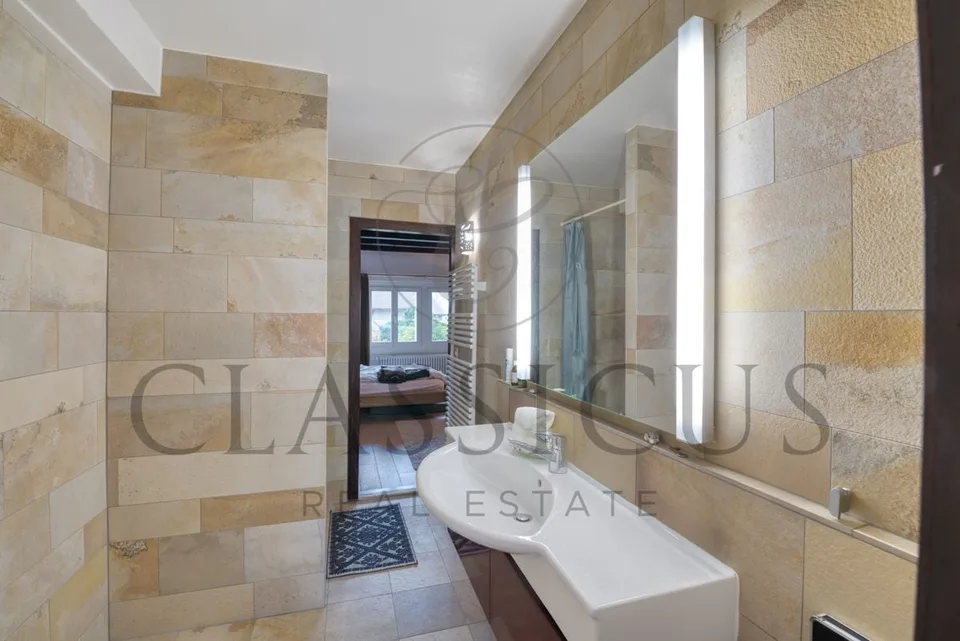 Insieme di villaggio con charme e reddito accessorio e giardino riservato – foto 10 di 13