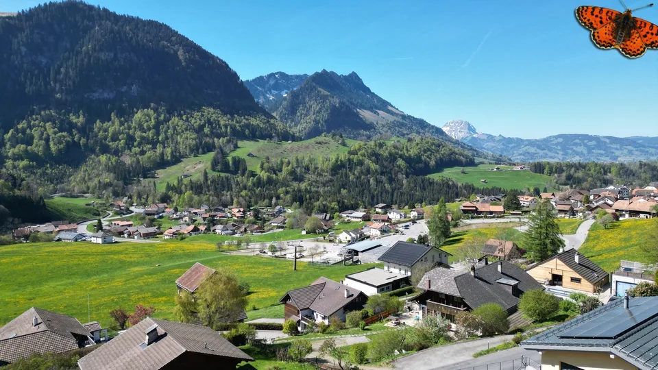 Einzelvilla in Charmey – Foto 3 von 13