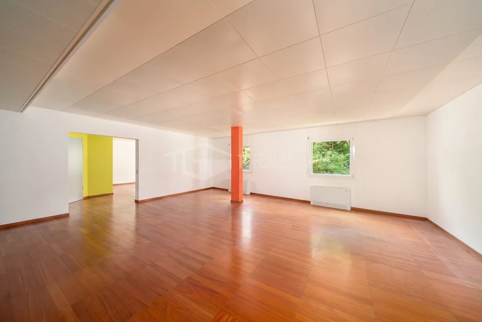 Grands espaces commerciaux et bureaux – photo 5 sur 21