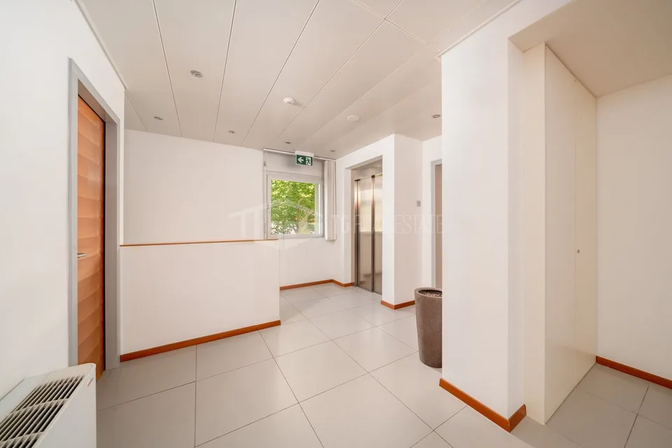 Grands espaces commerciaux et bureaux – photo 11 sur 21