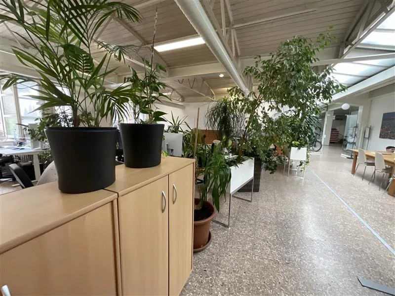 132 m² d'espace de bureau sur la General-Dufour-Strasse à Biel – disponible à partir de décembre 2026 – photo 2 sur 6