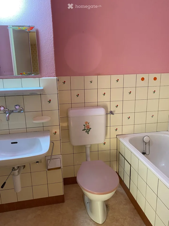 BEFRISTETES WOHNEN BIS 30.06.2027 - 3-Zimmer-Wohnung mit 2 Balkon in Birsfelden