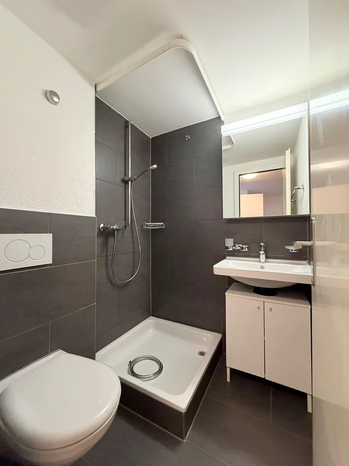 Practical 1-room apartment in Dietikon!