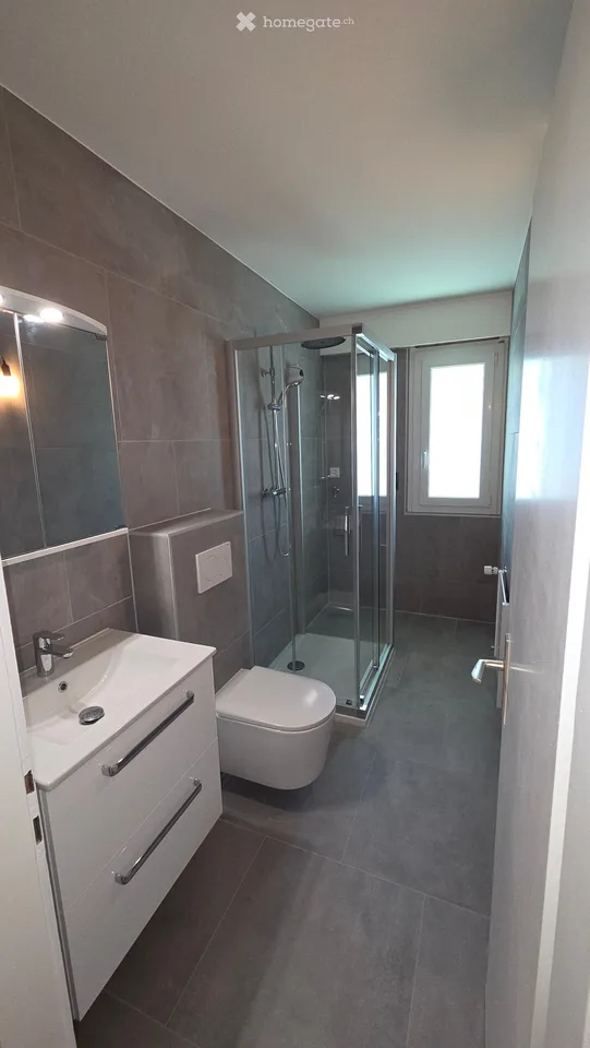 Schönes 2-Zimmer-Apartment komplett renoviert in Sierre