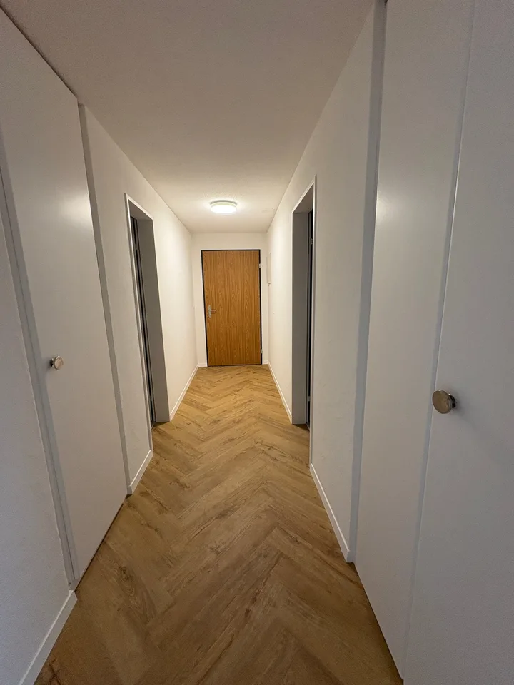 Appartement de 4,5 pièces rénové avec cheminée, ascenseur et vue panoramique
