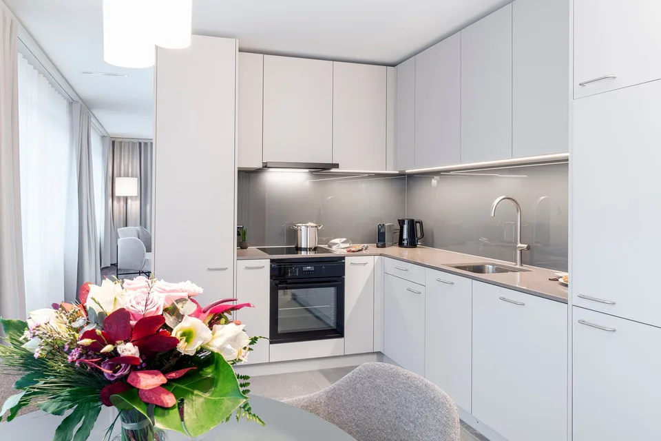2-Zimmer Apartment Superior Suite möbiliert in Cham (Zug), Papieri-Areal