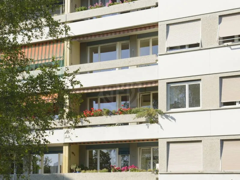 Pleasant Apartment - Thônex