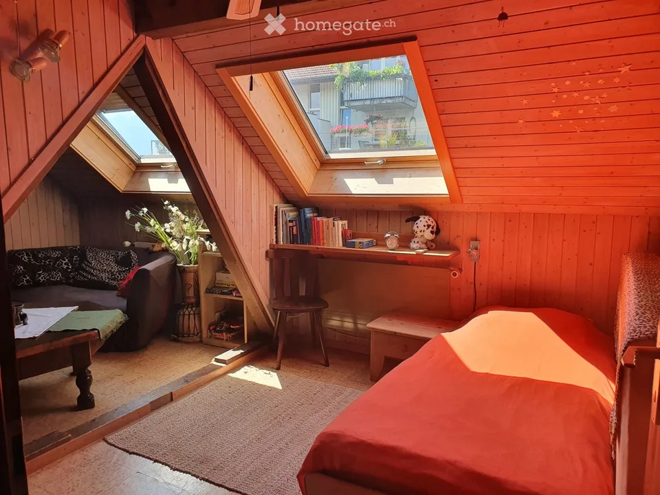 3 Colocataires pour appartement partagé 6 personnes, près de Thun