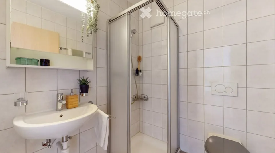 2 Zimmer hell mit Blick auf die Schlösser von Sion