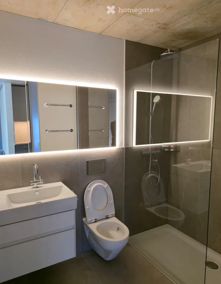 Modern 4.5-room new apartment in Wohlen AG