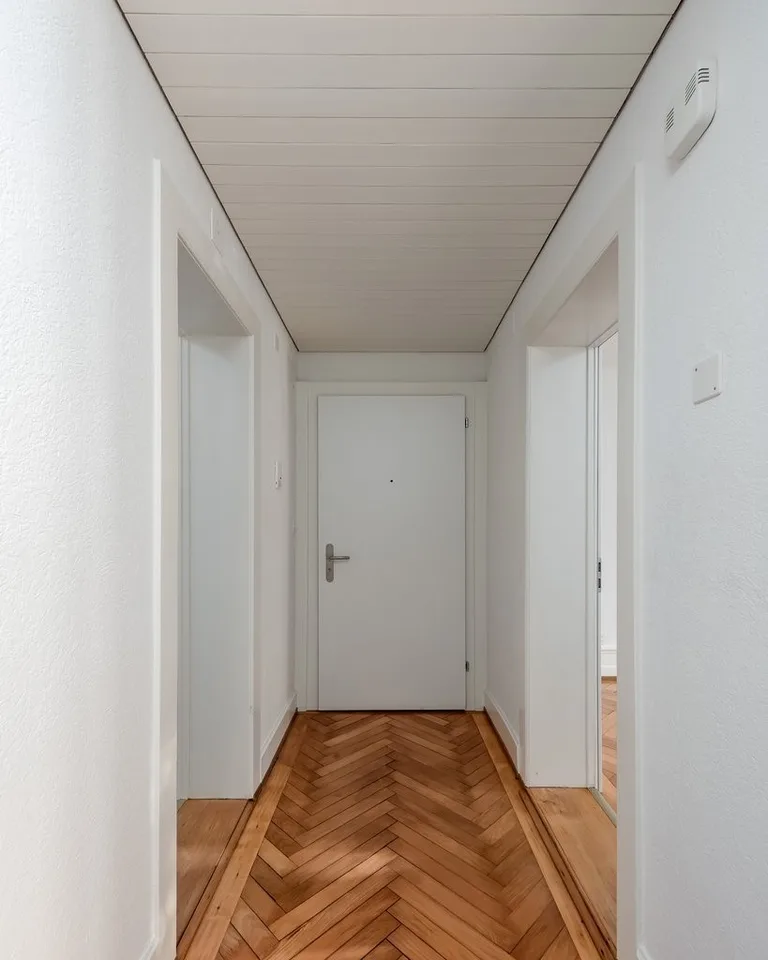 Altbauwohnung im schönen Wipkingen