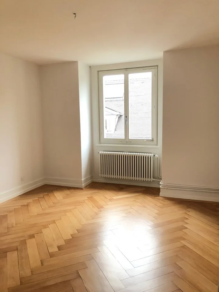 Altbauwohnung im schönen Wipkingen