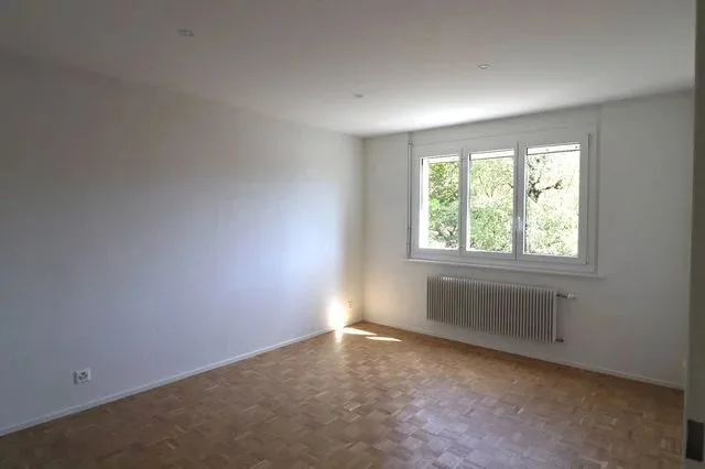Schönes renoviertes 3-Zimmer-Apartment im 4. Stock