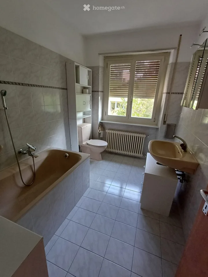 Wohnung 4,5 mit Garten