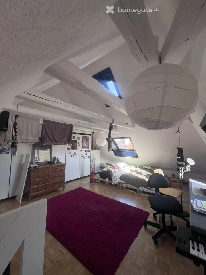 Spacious and charming duplex