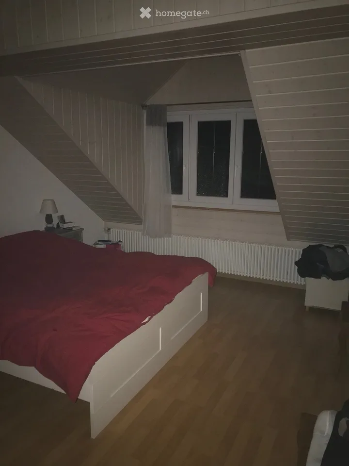 Attic apartment on the 2nd floor