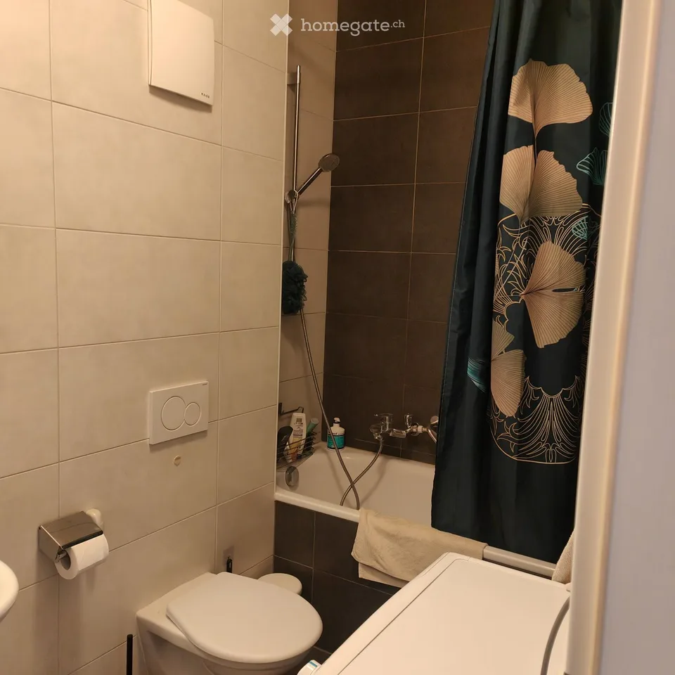 Große 3,5-Zimmer-Wohnung