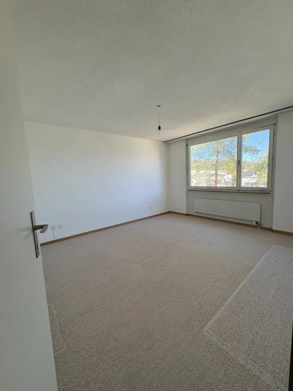 Grosszügige 4 1/2-Zimmerwohnung zu verkaufen! – Foto 8 von 13