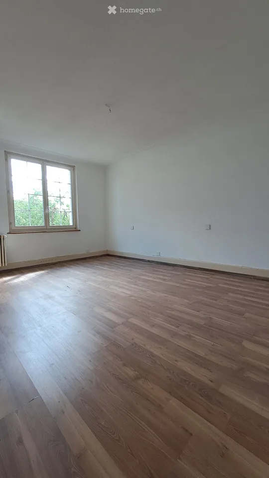 Charmante 3-Zimmer-Wohnung im Altbau an der Reinacherstrasse, Basel