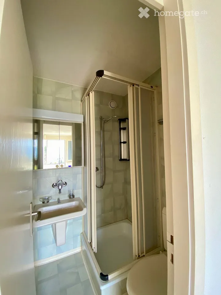 1 Zimmer Einliegerwohnung, möbliert mit toller Aussicht