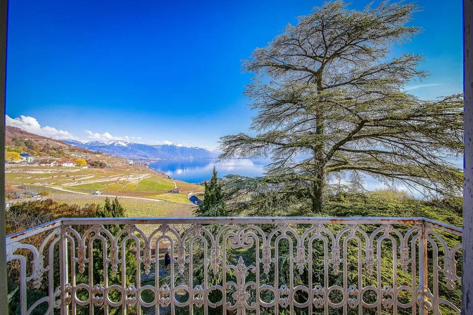Villa padronale del XIX secolo a confine con i vigneti di Lavaux – foto 6 di 8