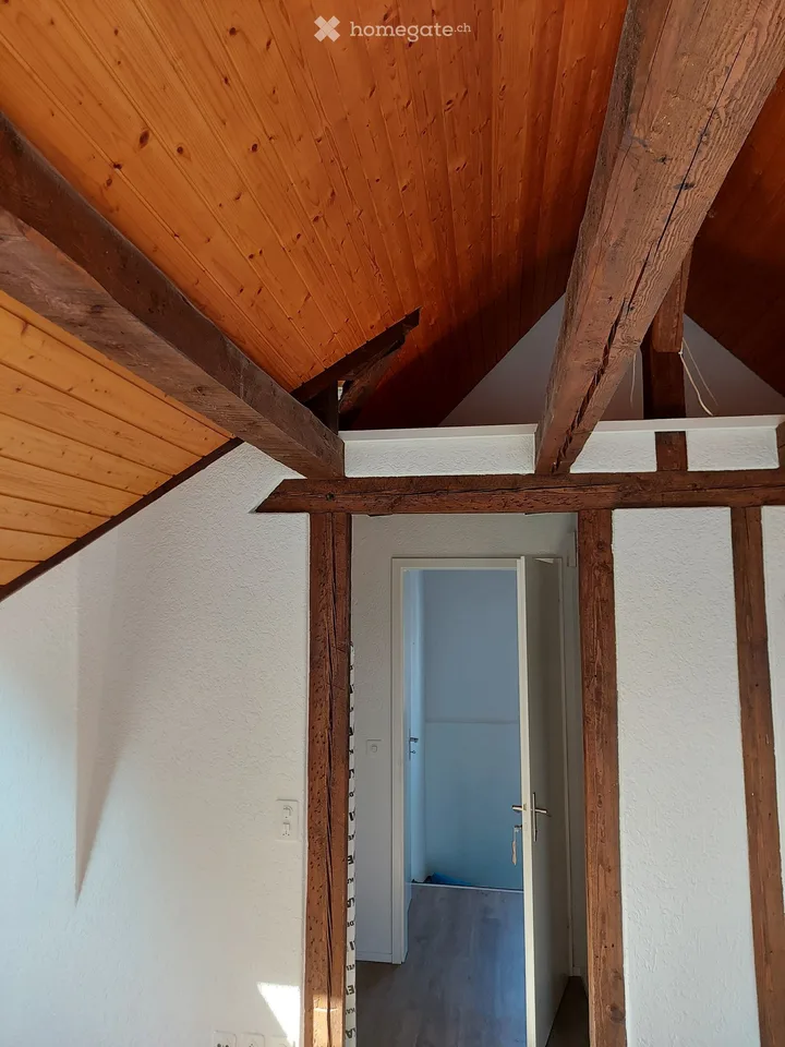 Appartamento mansardato bellissimo nel quartiere popolare di Zelgi ad Aarau
