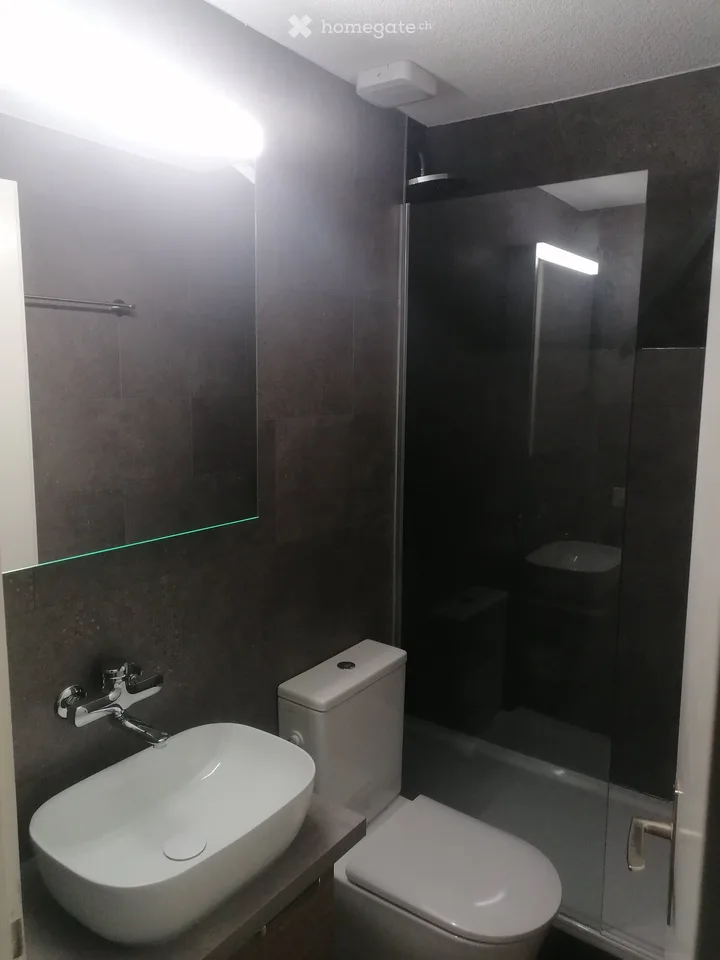 Appartamento mansardato bellissimo nel quartiere popolare di Zelgi ad Aarau