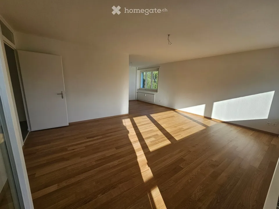 Appartement 3.5 pièces au 4e étage avec une belle vue sur le lac de Constance côté est (soleil du matin)
