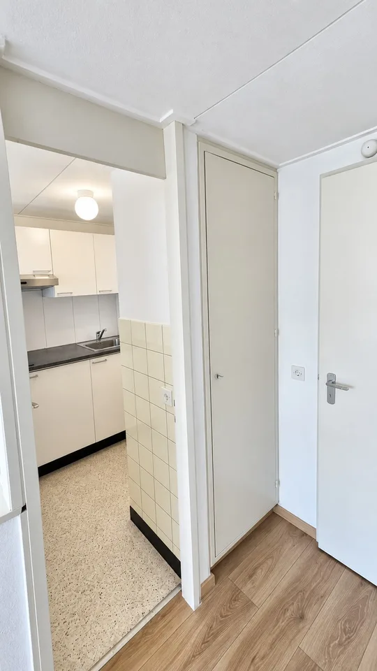 Appartement charmant de 1,5 pièces