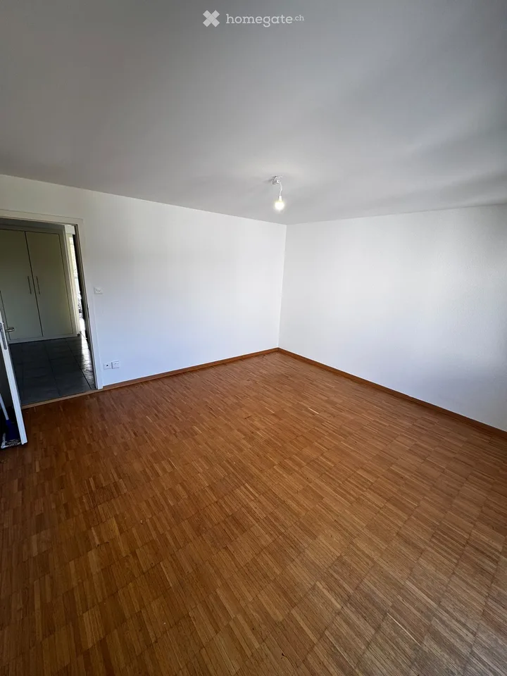 Appartamento accogliente di 1,5 locali con balcone e bella vista a Wettingen