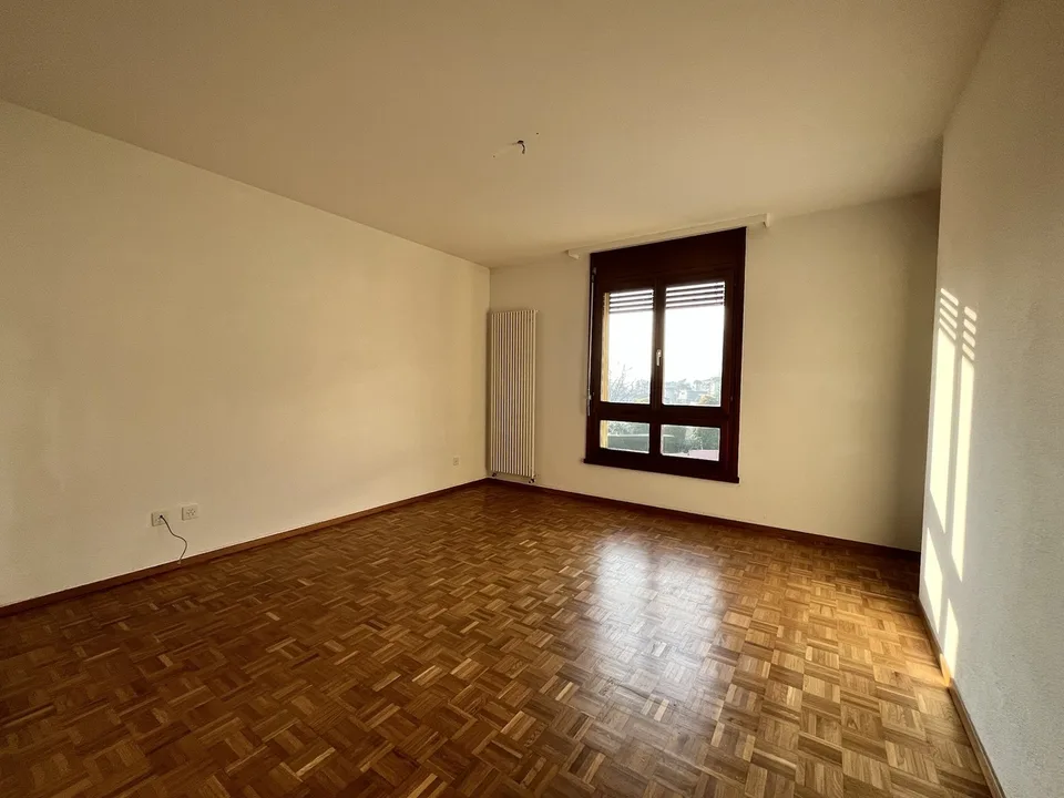 SEMENTINA, Affittiamo appartamento di 3½ locali