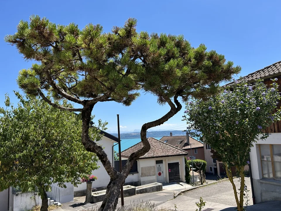 Casa di Villaggio da Ristrutturare, Vista Lago e Tranquillità Assicurata – foto 8 di 12