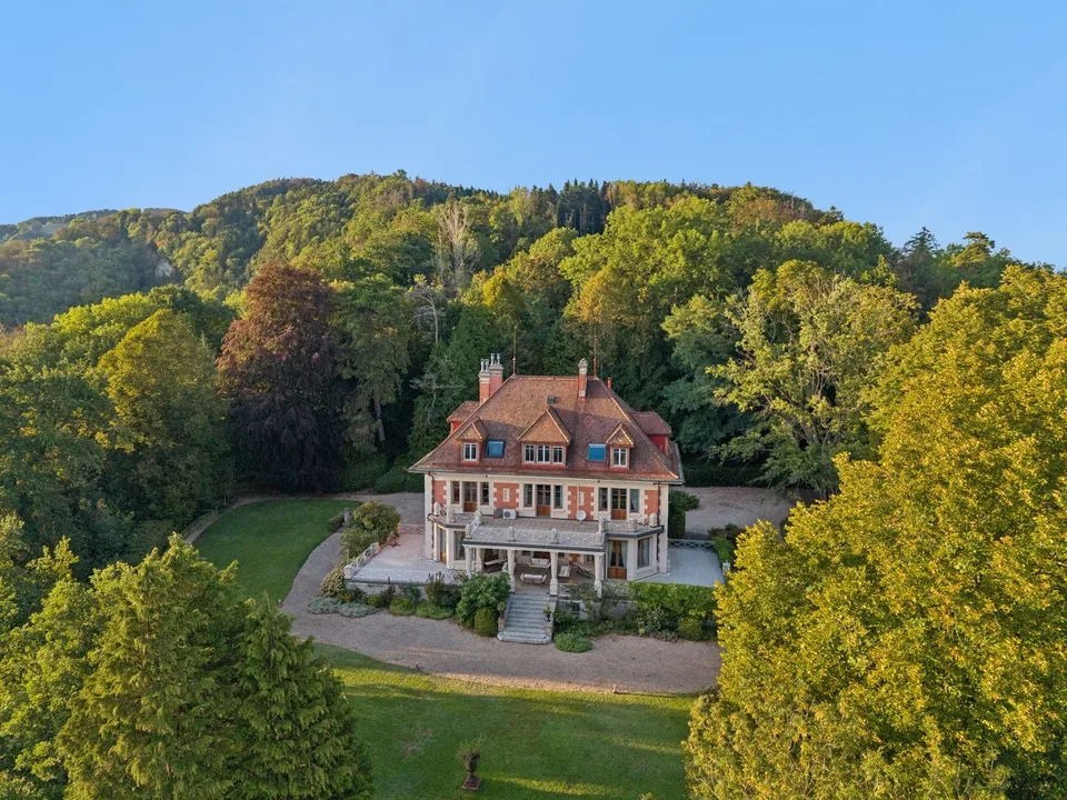Lavaux : villa iconique, vue Léman et Alpes, domaine de près de 1.6 ha – photo 12 sur 13