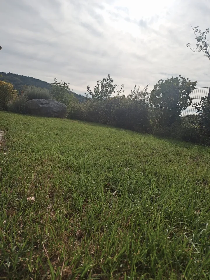 Renovierte Wohnung mit Wintergarten und privatem Garten