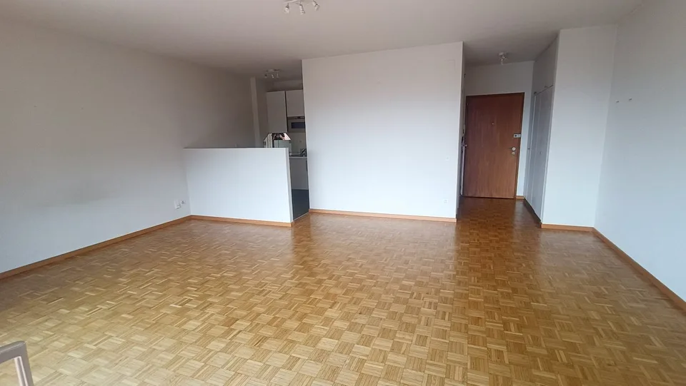 Helles 1.5-Zimmer-Apartment mit Balkon in Viganello – Foto 3 von 11