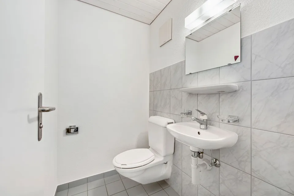 grosszügige und helle Wohnung – Foto 7 von 8