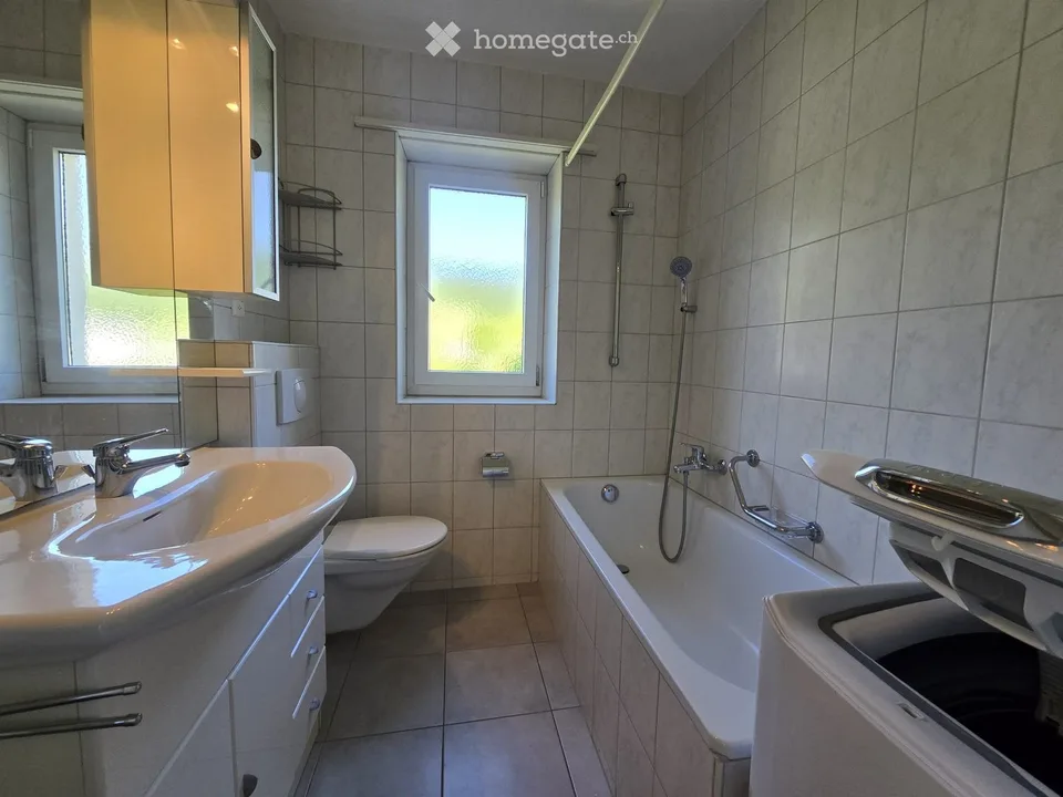 Very nice 4.5-room apartment renovated