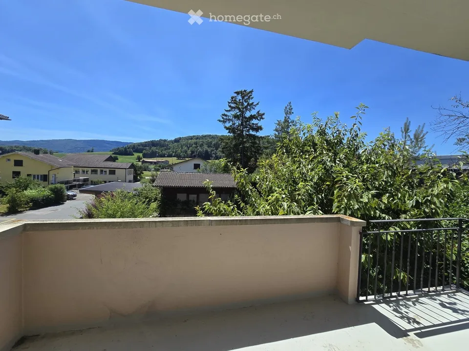 Very nice 4.5-room apartment renovated