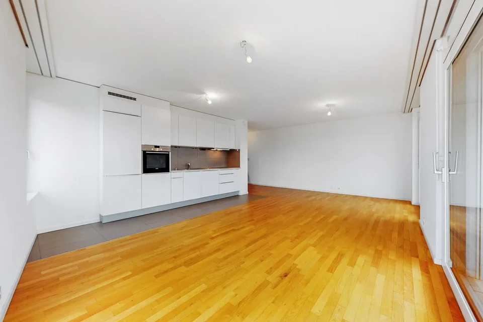 Bel appartement - Quartier de la Sallaz