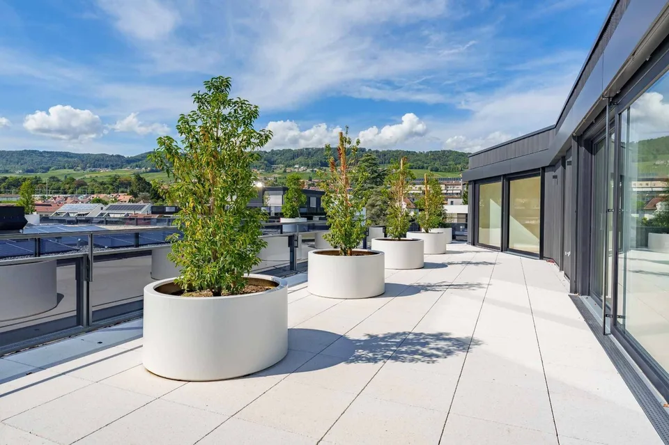 Magnifico attico nuovo di 5,5 locali con rooftop esclusivo a 360 gradi – foto 3 di 13