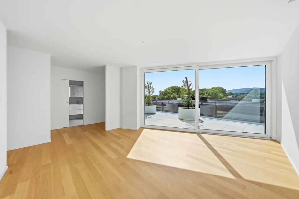 Magnifico attico nuovo di 5,5 locali con rooftop esclusivo a 360 gradi – foto 11 di 13