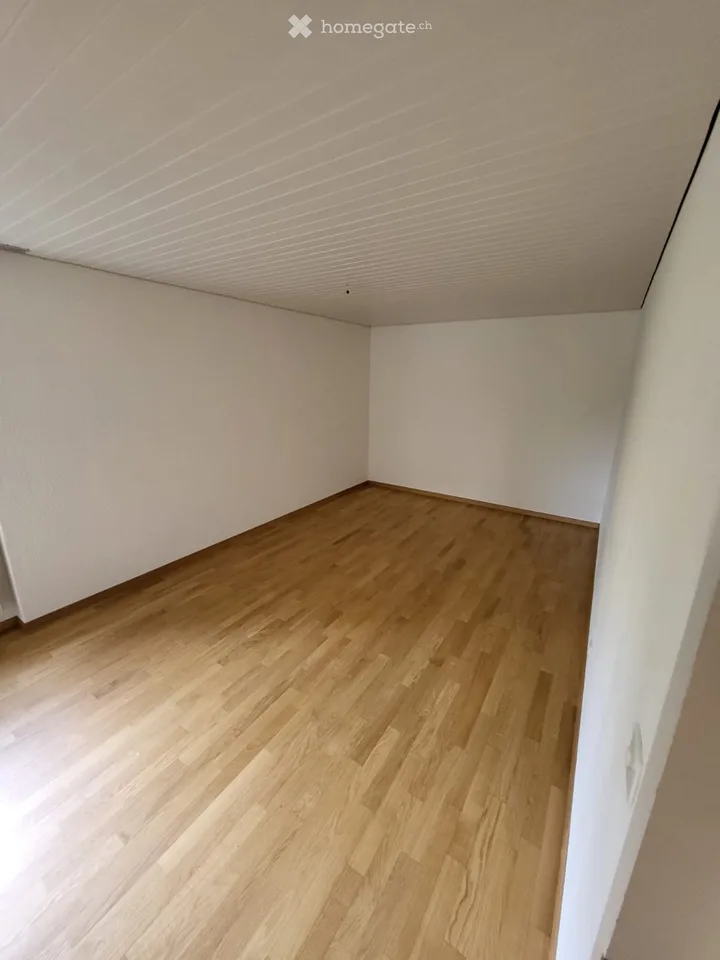 4.5 room apartment, ground floor, two terraces