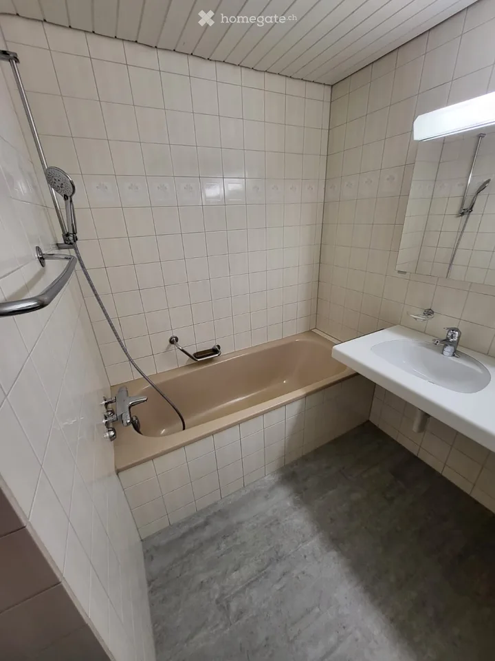 4.5 room apartment, ground floor, two terraces