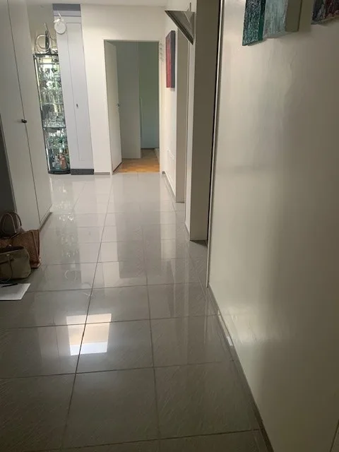 Grosszügige 5.5-Zimmer-Dachwohnung mit Panoramablick – Foto 3 von 8