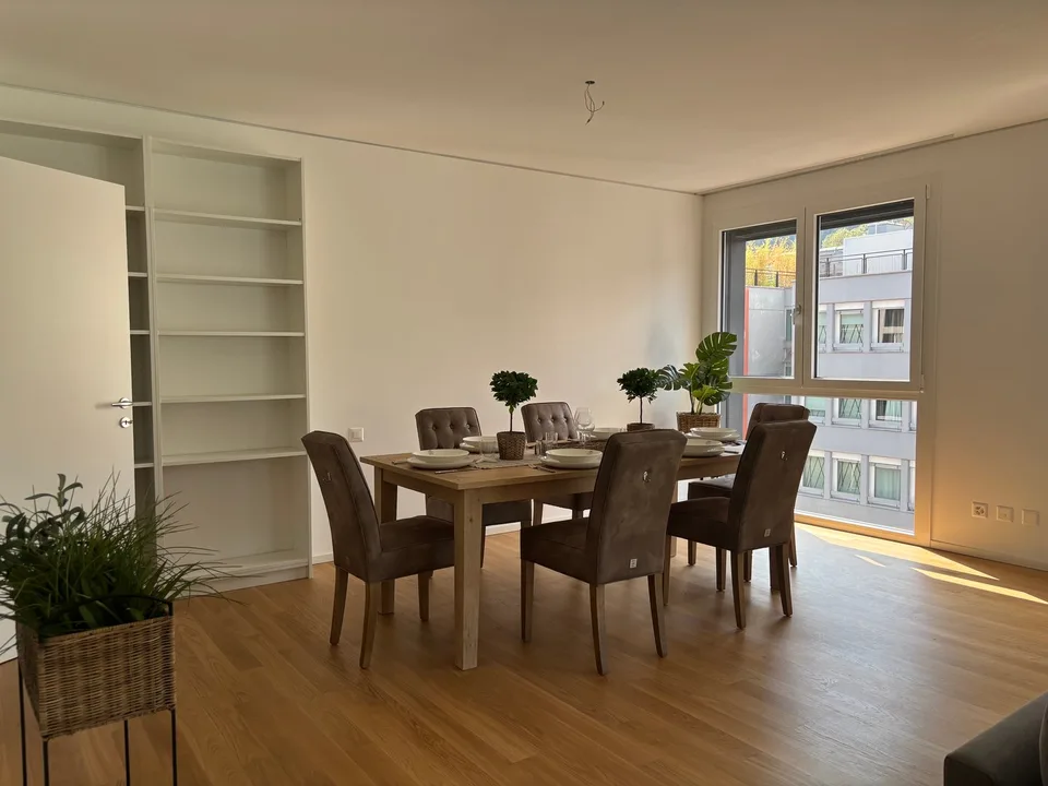 Moderno appartamento di 3.5 locali a Paradiso – foto 6 di 11