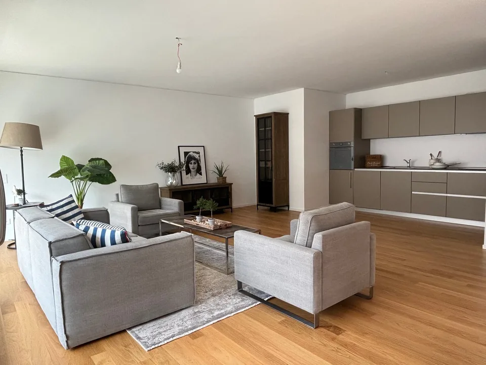 Moderno appartamento di 3.5 locali a Paradiso – foto 4 di 11