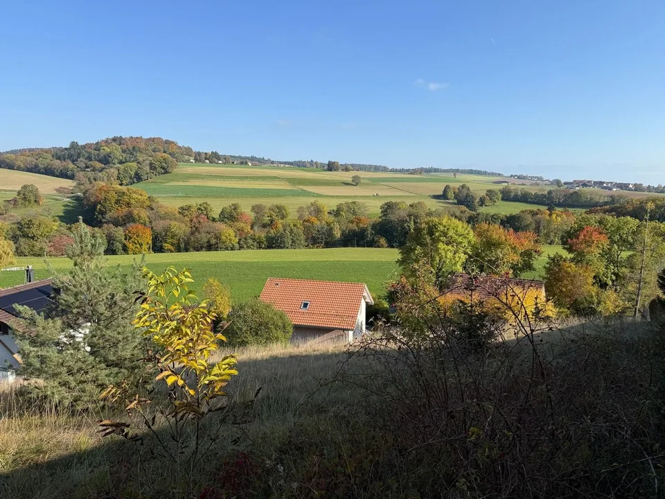 Bauparzelle mit atemberaubendem Blick auf die Alpen! – Foto 10 von 10