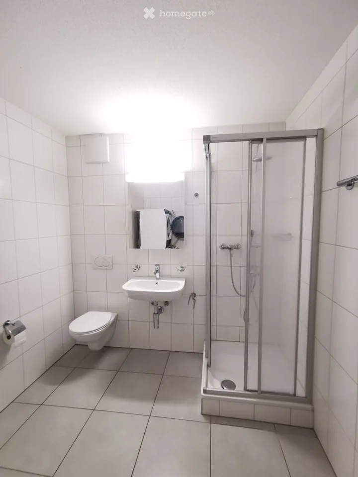4.5 Zimmer, 107 m2, EG mit Garten
