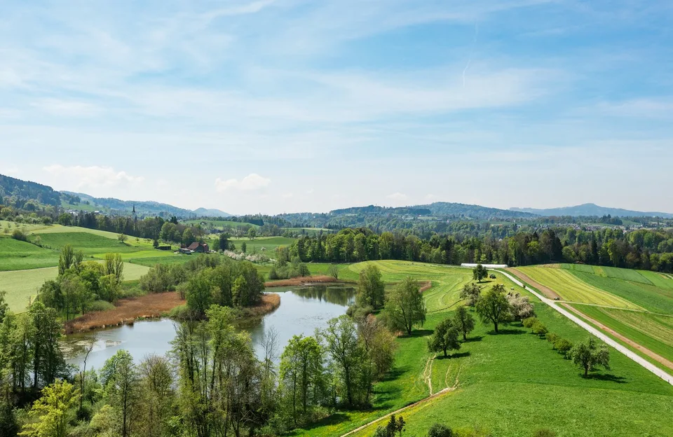 Schloss in St. Gallen – Repräsentatives, totalsaniertes Schloss mit See- und Weitsicht – Foto 6 von 12