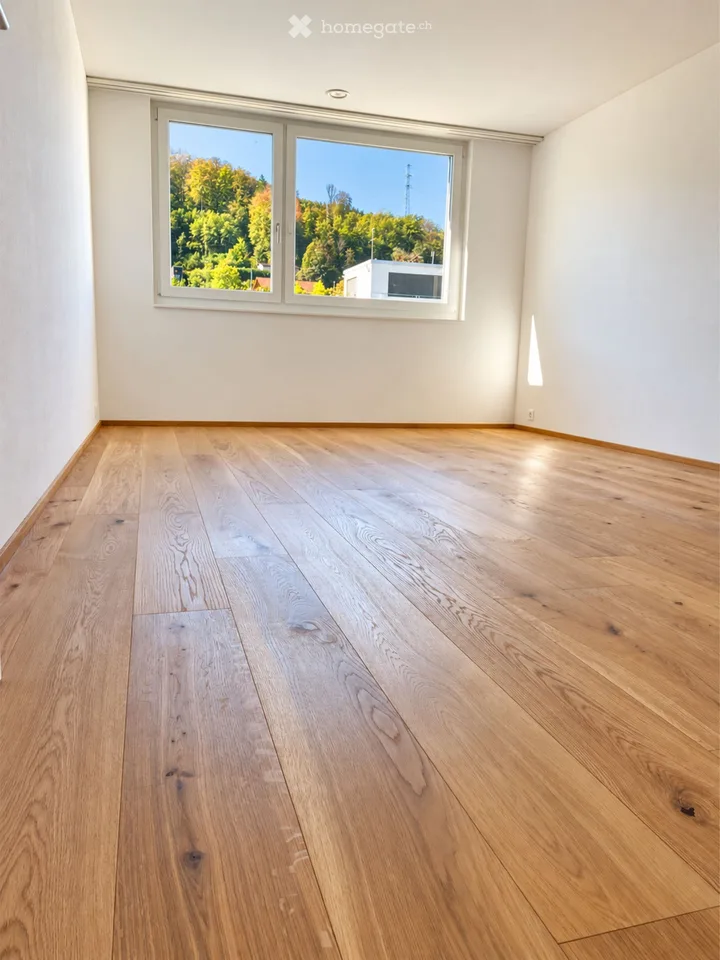 Helle 3.5-Zimmer-Wohnung mit Balkon und Rheinblick in Mumpf